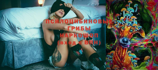 сатива Арсеньев