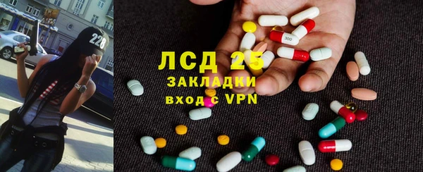 сатива Арсеньев