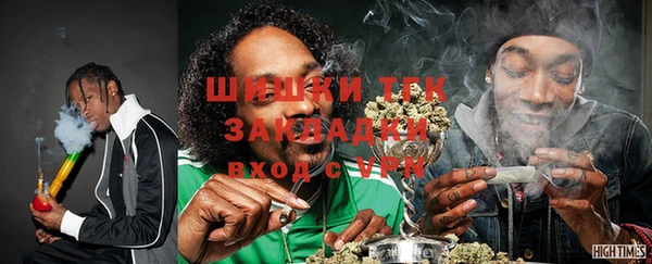 сатива Арсеньев